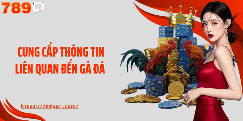 Cung cấp thông tin liên quan đến gà đá